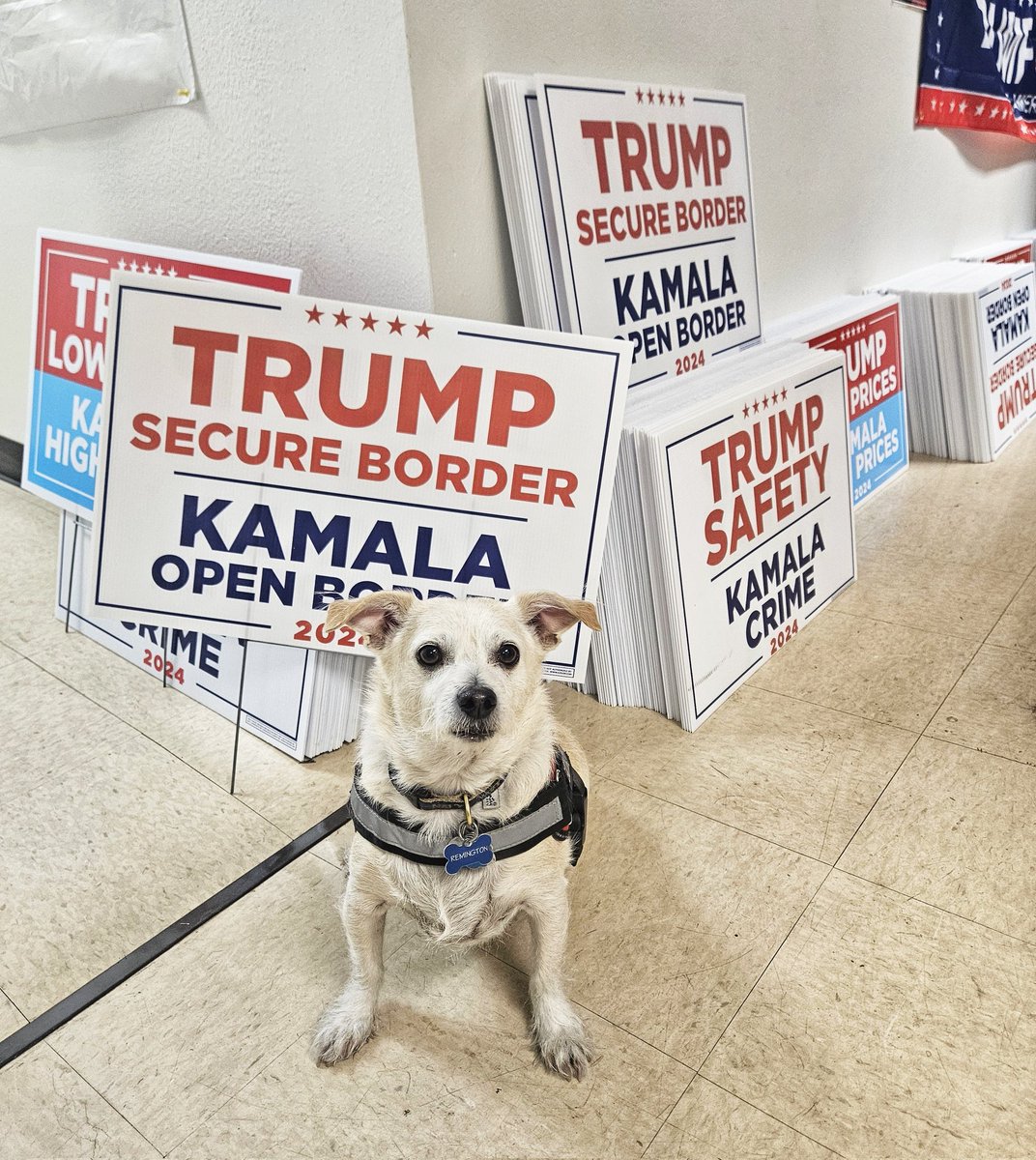 RealPimaGOP's tweet photo. We have Trump signs, @KariLake signs and so many other campaign signs! Visit our office at 4801 East Broadway and pick some up. #MAGADOG #vote https://t.co/mKSzPiLRPD