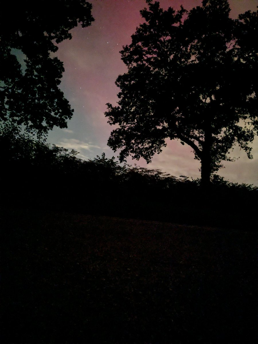 Felicity Liggins tweet media