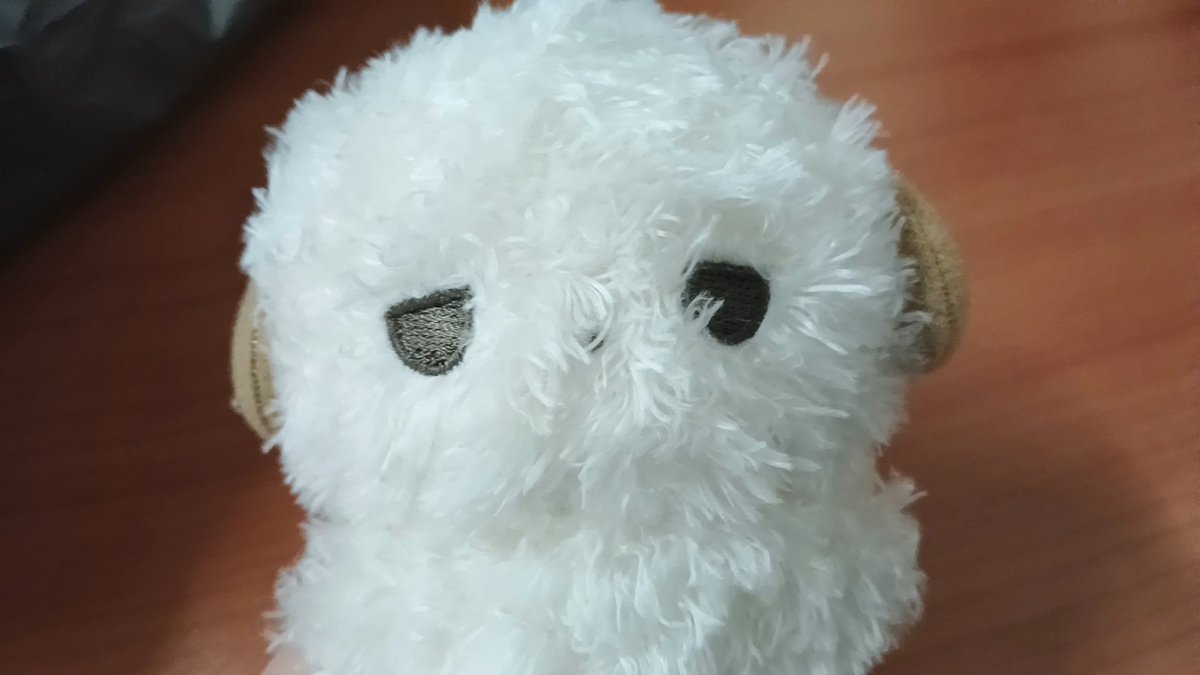 뽄디 진짜 꼬질하네요
정말 독보적으로 꼬질하네요
너무나 꼬질합니다
이 꼬질양은 뭐죠
정말너무꼬질합니다