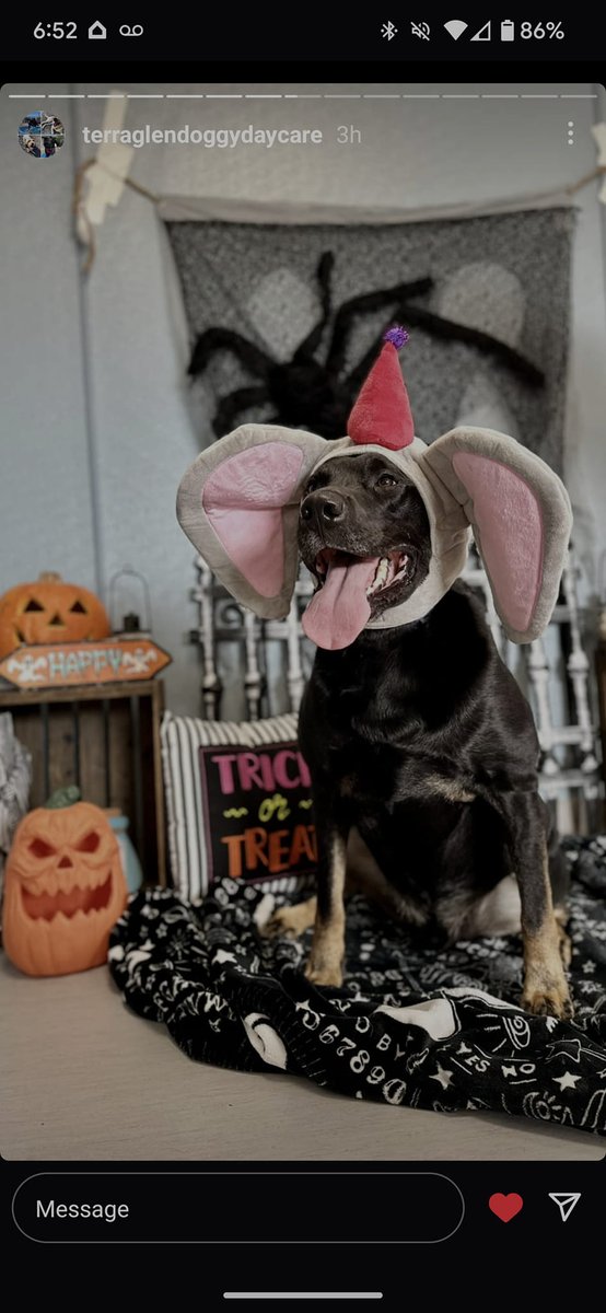 Nicky Pearson tweet media