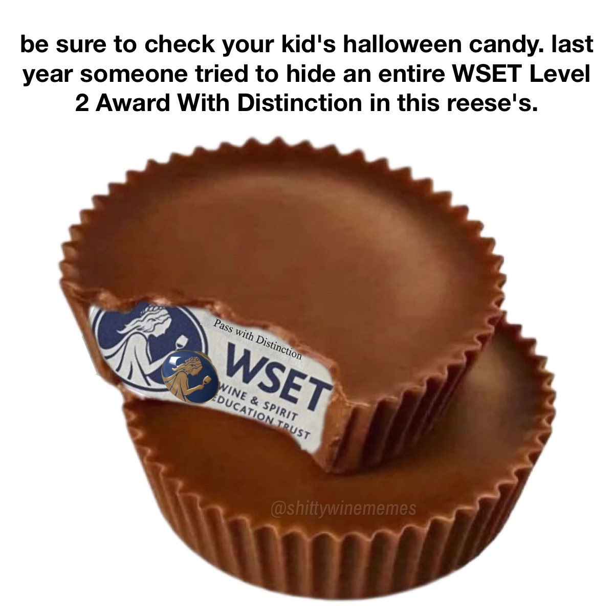 Shitty Wine Memes (@shittywinememes) on Twitter photo 