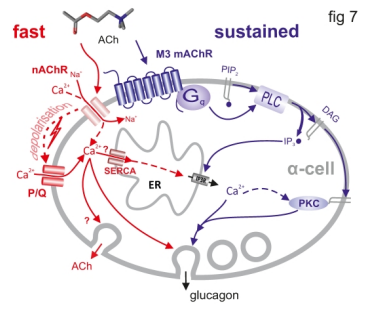 Filip K. Knop tweet media