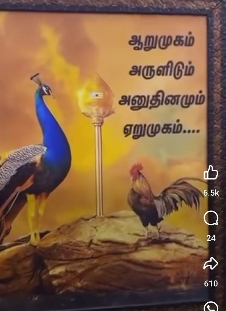 iamHarunKanth's tweet photo. 🔥 உருவாய் அருவாய்,

🔥 உளதாய் இல��ாய்

🔥 ம��ுவாய் மலராய்,

🔥 மணியாய் ஒளியாய்க்

🔥 கருவாய் உயிராய்க்,

🔥 கதியாய் விதியாய்க்

🔥 குருவாய் வருவாய்,

🔥 அருள்வாய் குகனே.

ஆறுமுகம் 🔥 அருளிடும்
அனுதினமும் ஏறுமுகம் 🔥🙏🙏🙏 https://t.co/dlZDlrvGpV