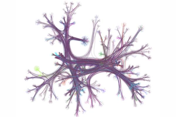 Penn Bioengineering (@pennbioeng) on Twitter photo A Penn team worked with <a href="/Wikimedia/">Wikimedia Foundation</a> to analyze the browsing habits and curiosity styles of over 480,000 people across 50 countries. The study was led by led by <a href="/DaniSBassett/">Dani S. Bassett</a> & <a href="/neuro_dz/">Dale Zhou</a> with contributions from <a href="/sppatankar/">Shubhankar Patankar</a>. #PennBioengineering
Read more: bit.ly/3YoclBs A Penn team worked with <a href="/Wikimedia/">Wikimedia Foundation</a> to analyze the browsing habits and curiosity styles of over 480,000 people across 50 countries. The study was led by led by <a href="/DaniSBassett/">Dani S. Bassett</a> & <a href="/neuro_dz/">Dale Zhou</a> with contributions from <a href="/sppatankar/">Shubhankar Patankar</a>. #PennBioengineering
Read more: bit.ly/3YoclBs