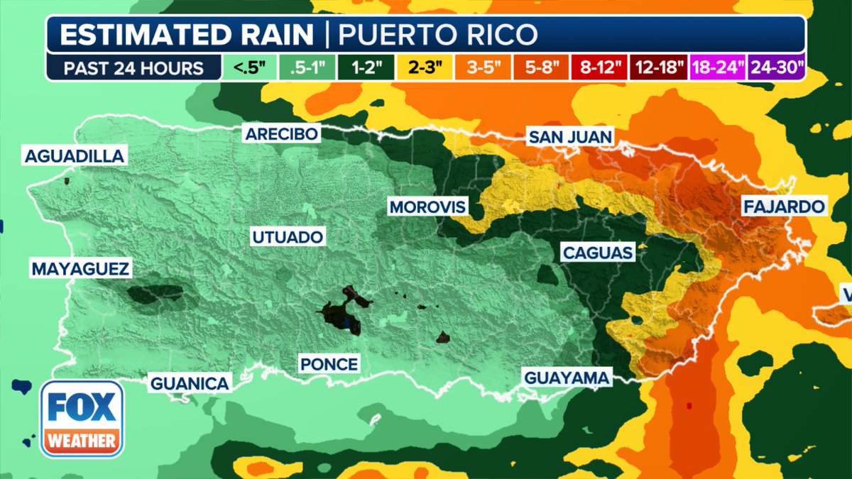 Greg Diamond tweet media