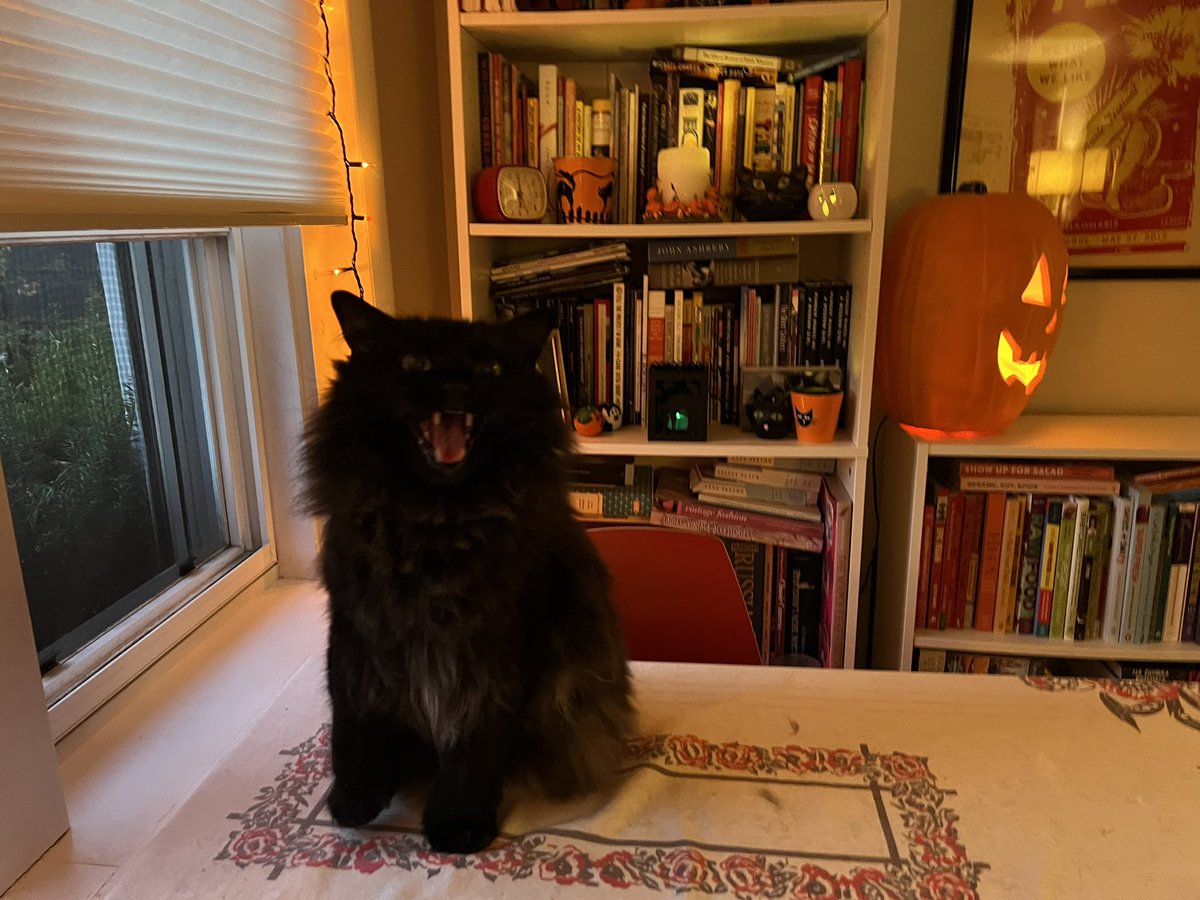 lsmarshall's tweet photo. @weirdlilguys Cub wishes everyone a HAPPY HALLOWEEN! 👻 https://t.co/mSD6kH18HP