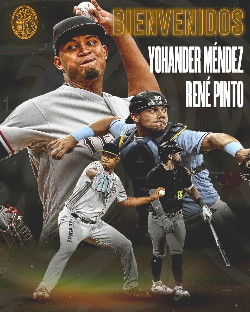 Leones del Caracas tweet media