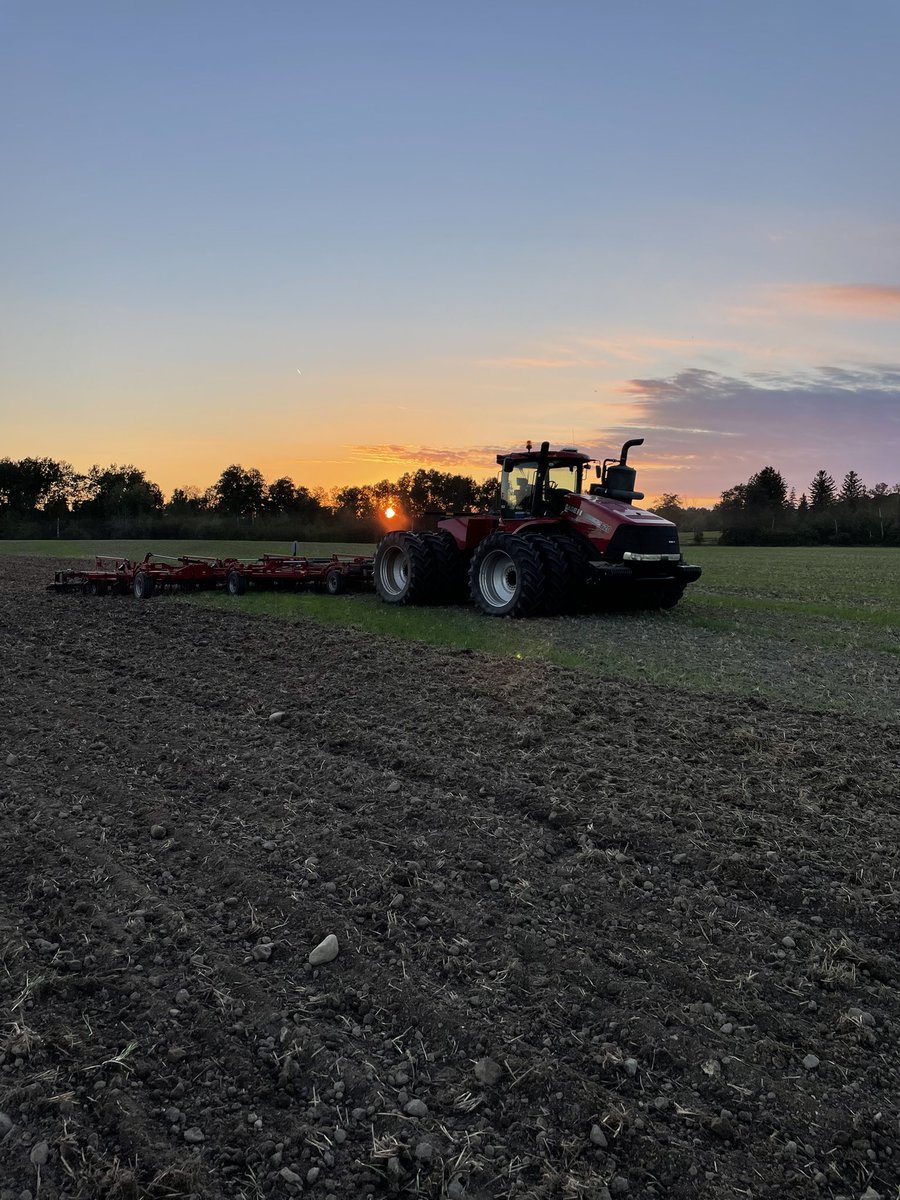 Max von Westerholt tweet media