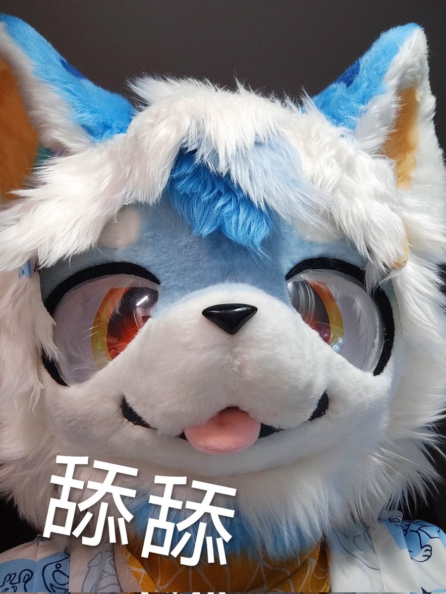 YinLiang_yl's tweet photo. @Jeffrey86334455 @pio1840708 超可爱！ https://t.co/dbzUGMxxLf