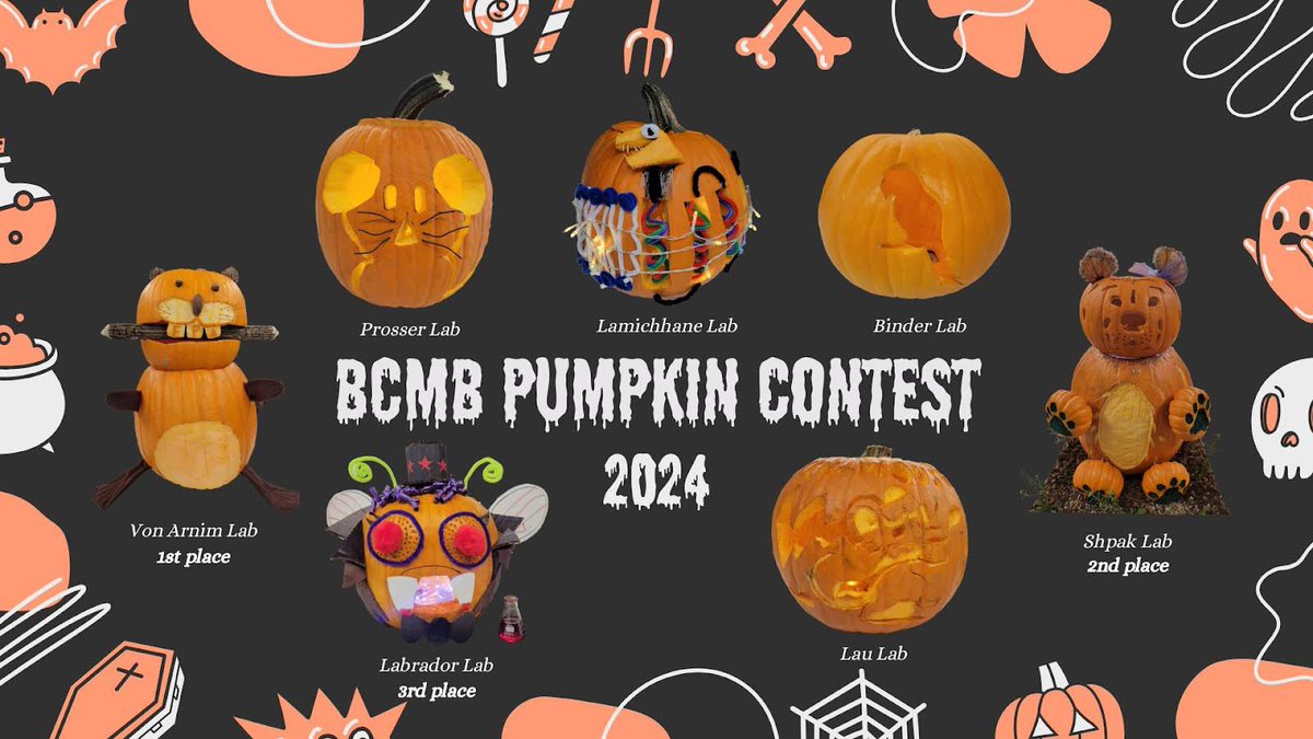 BCMB_UTK's tweet photo. In addition to the party, we had our annual pumpkin carving contest. There were many creative entries from several labs in the department. 

Congrats to the von Arnim Lab for taking home the golden pumpkin this year! https://t.co/YUKwVn1L6t