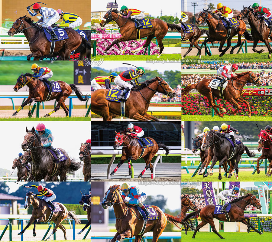 🗓競馬ブックカレンダー2025🗓 本日11/1より ネットSHOPにて予約販売