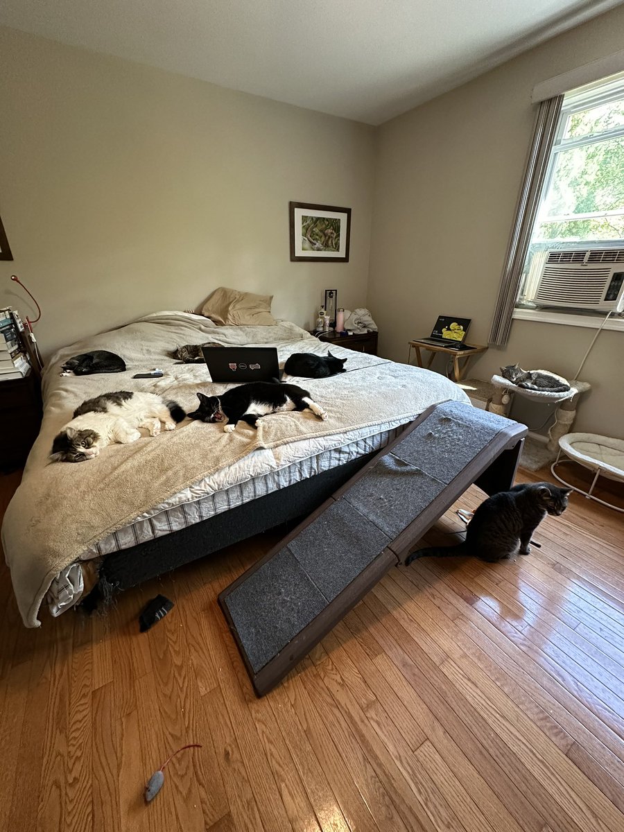 Andrea C. Love, PhD tweet media