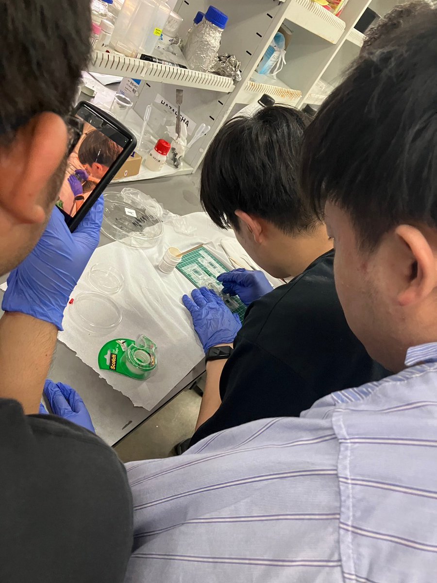 Kyutech_LSSE's tweet photo. UPM短期派遣DSSCコース
DSSCコースでは、マレーシアにある天然素材の色素を抽出し、それを利用した色素増感太陽電池の構築を行っています。うまく電力が得られるでしょうか？結果が楽しみです😄。#UPM #mobilityprogram #Kyutech #DSSC #LSSE https://t.co/lb8HVLuAyK