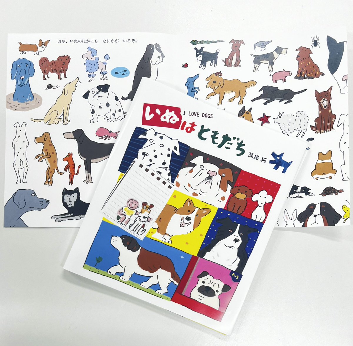 イバタカツエ作 犬面 イバタ カツエ 和食器通販・作家もの陶器【器さろん 恵】