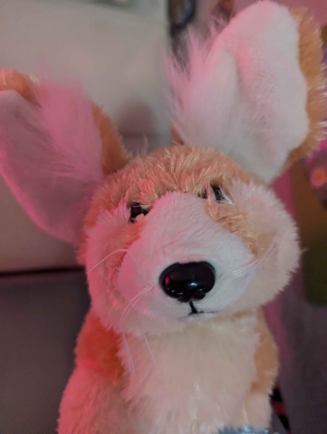 amalgamcorps's tweet photo. 🔌i showe you my big ears please respond https://t.co/SDFR8QnHzD