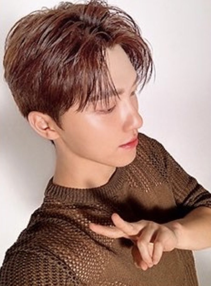 alwaysdinofan's tweet photo. 세타필 💚 디노 https://t.co/ncduwXRa5F
