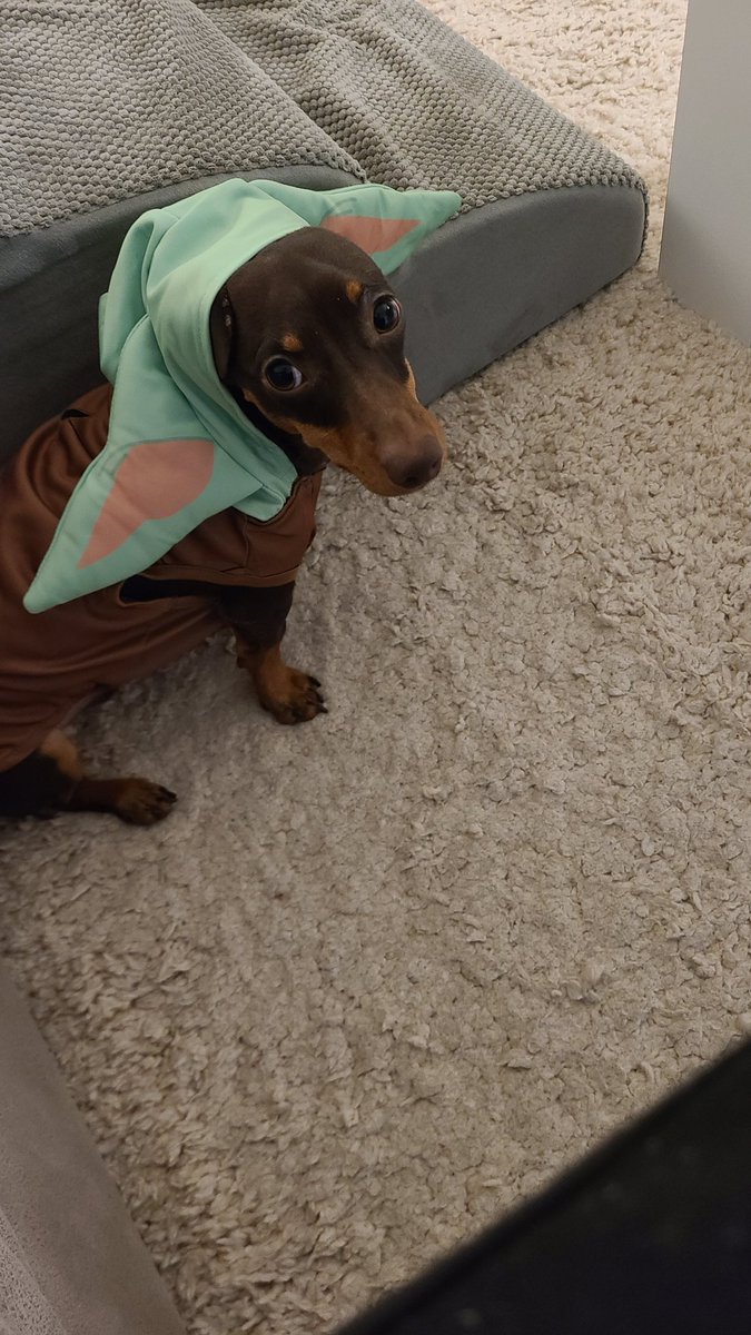 Found this guy on a spaceship