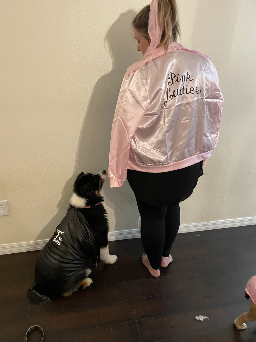 ABEsquire89's tweet photo. Happy Halloween from a Pink Lady and her T-bird. 
#austrailianshepherd 
#aussie https://t.co/SCnVDMXX5G