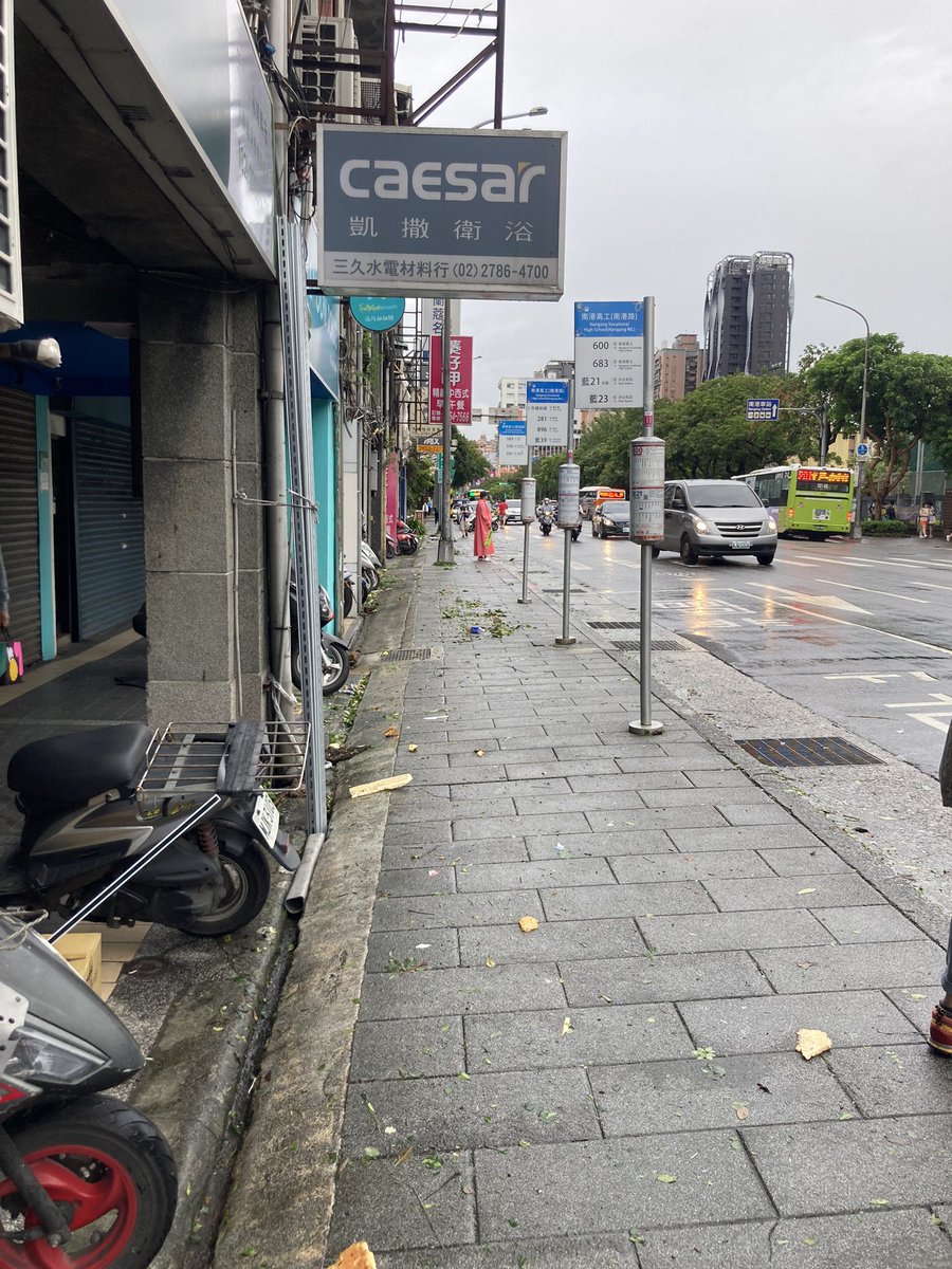 NguyenC99180975's tweet photo. Trees fell down, leaves on the street and people rush to work in the morning after typhoon Kong Rey has left. #TyphoonKongRey #taipei #Taiwan https://t.co/ZI9WnWyiOV
