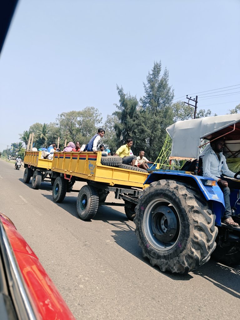 riskeshinde's tweet photo. Cane H&amp;T teams en route to their cane harvest areas in Kolhapur. No cap on juice diversion, mixed views on cane area in MH &amp; KA, improved yields due to good rains from Jun-Oct'24, exports, MSP, makes 24/25 crush season an interesting one to watch out #sugarcane #Ethanol #sugar https://t.co/ixBNaJav2J