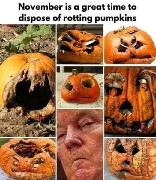 Happy Halloween! 🎃👻 A friendly reminder that Tuesday is when we take the trash out for good! #TrumpTrash🗑️ #DumpTrump 🤡 #TrumpIsUnfitForOffice 🤪#VoteKamalaHarrisAndTimWalz2024ToSaveAmerica 🗳️🇺🇸💪