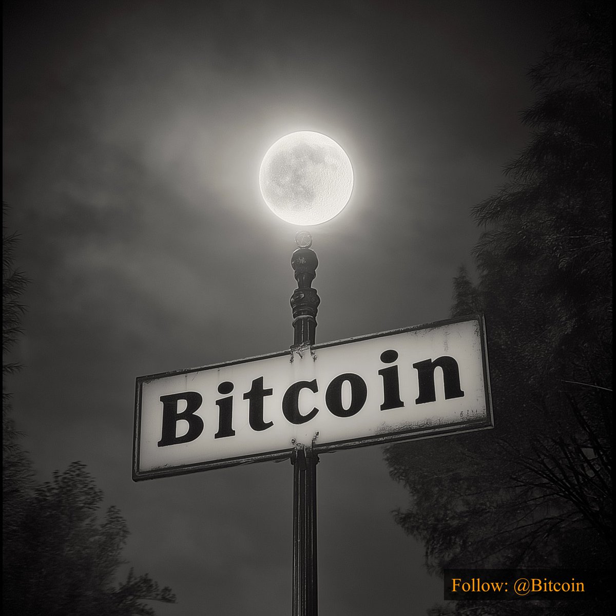 Bitcoin tweet media