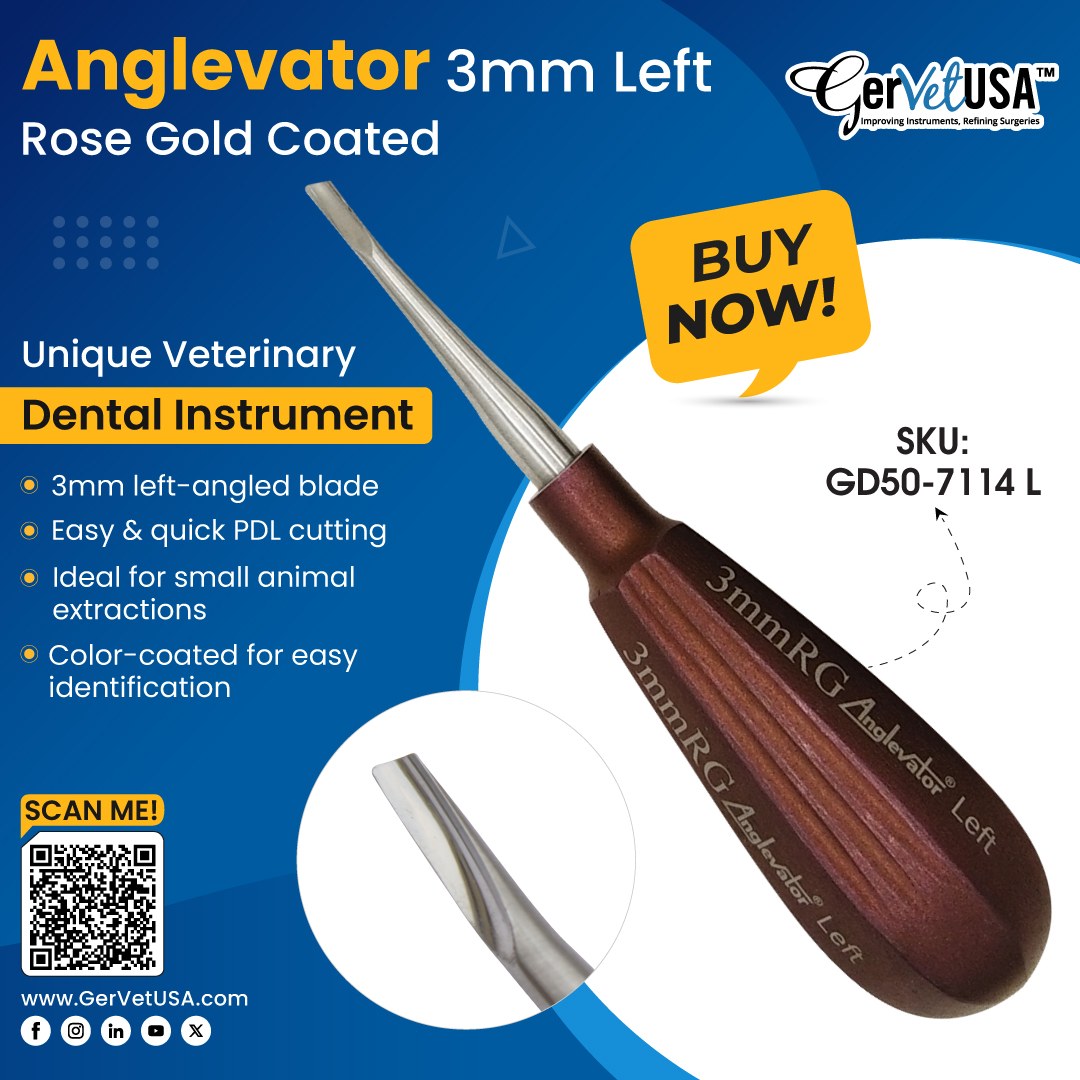 GerVetUSA's tweet image. Precision Meets Style with the Rose Gold Anglevator!

Introducing our 3mm Left Anglevator in a stunning rose gold coating—an essential tool for veterinary dental procedures! 

Shop here: tinyurl.com/274fvtty

#GerVetUSA #Anglevator #VetDentalTools #PrecisionTools #AnimalCare