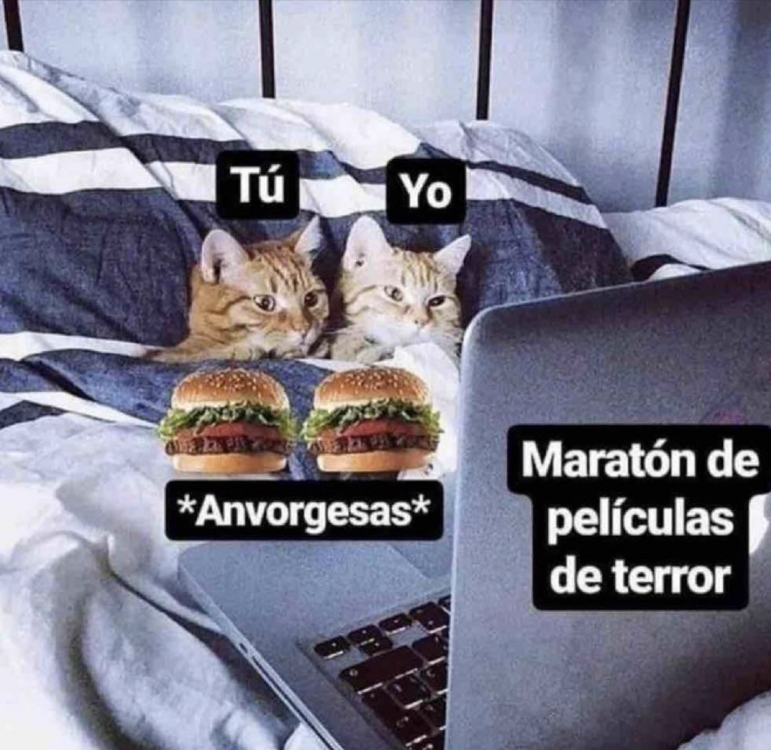 Guarromantico_'s tweet photo. Tú y yo mailob. https://t.co/kHEYv9vPSE