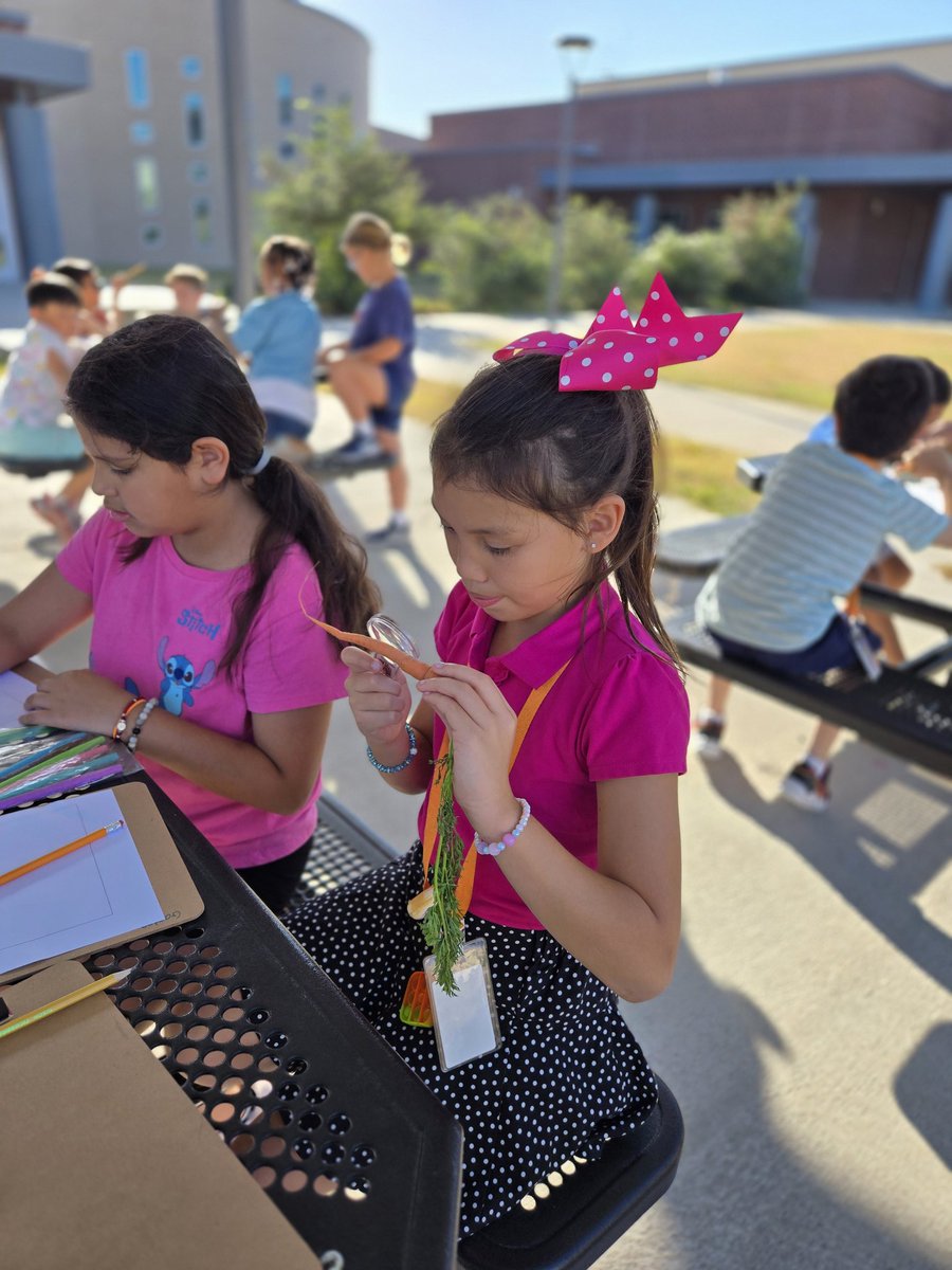 Ms. Smith - Math/Science tweet media