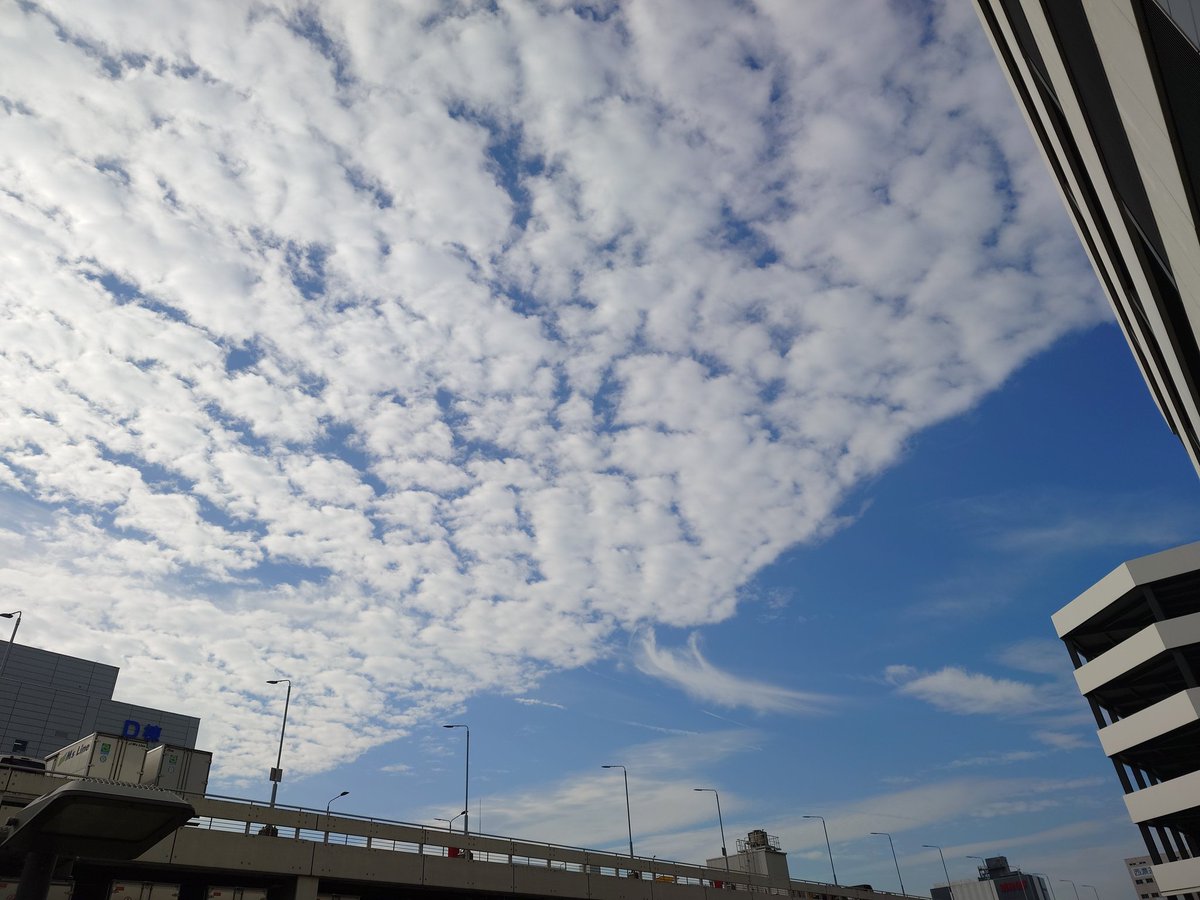 tomozn1218's tweet image. おはようございます！
船が宇宙を泳いでた
#Xperia1V
#WindyRoad
#MULTIMAX