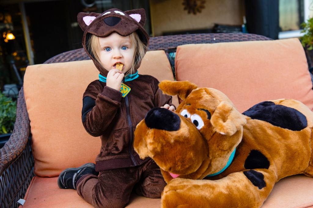 Happy Halloween from the St Laurent family! Princess Rory is 2 now, and we're taking her out Trick-or-Treating for the first time this year.

#HappyHalloween #TrickorTreat #ScoobyDoo #ScoobySnacks #Jinkies