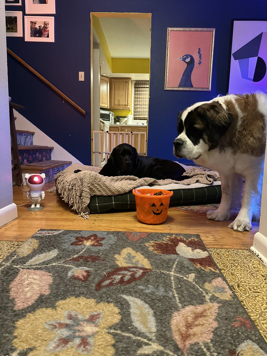 Ryan Adams tweet media