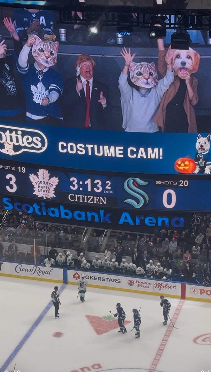 davidalter's tweet image. “They’re eating the cats”