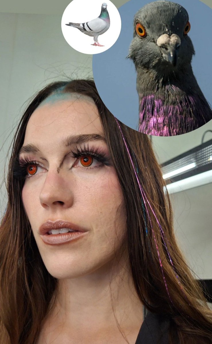 whatthiscouldbe's tweet image. a fantasia de pombo, amei