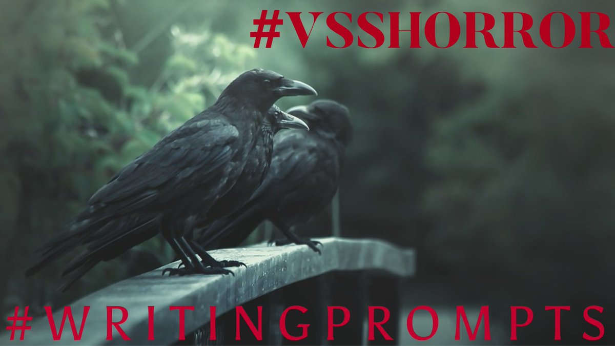 The_Scribblings's tweet photo. Thursday, October 31st ~ #VSSHorror #WritingPrompts 3/3
#VssFantasy Terror
#VssHalloween Doll
#VssMagic Last
#VssMystery’s Mystery~October Hounds of Hell
#WeirdMicro All Hallows’ Eve https://t.co/WOEeggsHgQ
