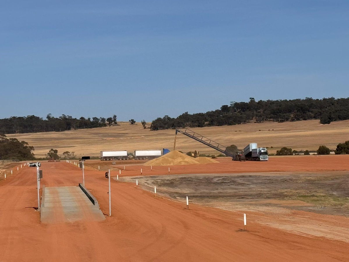 Pingelly site has come up a treat.