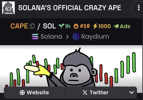 #10 on dex

1000 boosts

1 hour in.

The craziness hasn't even started. 

Are you ready? $CAPE