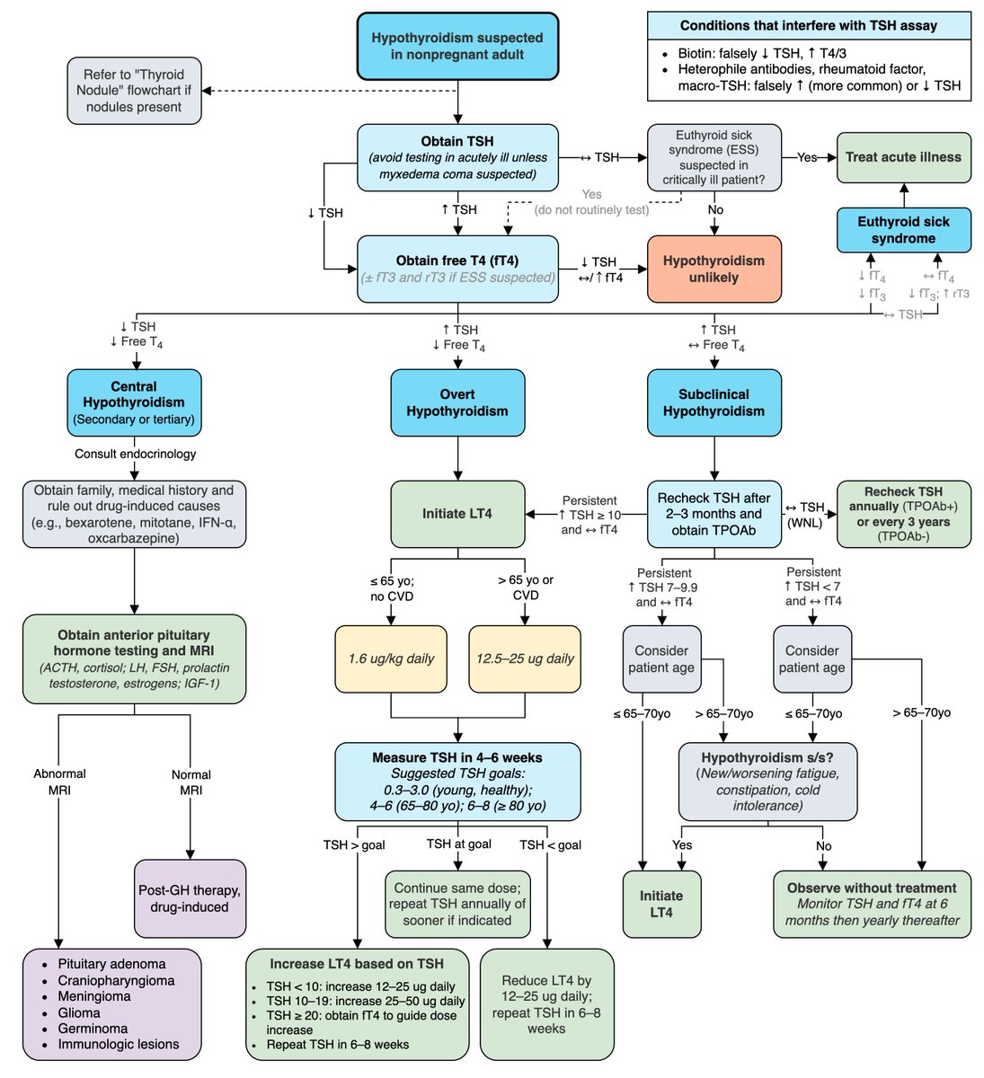 docakx's tweet photo. 🌟 Hypothyroidism - Approach 

Created by @MatthewHoMD https://t.co/ZD6QqY4b1U