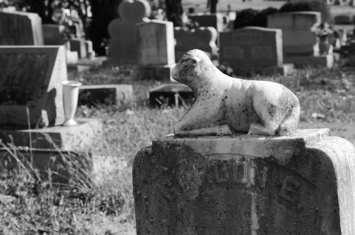 took a walk at the cemetary today