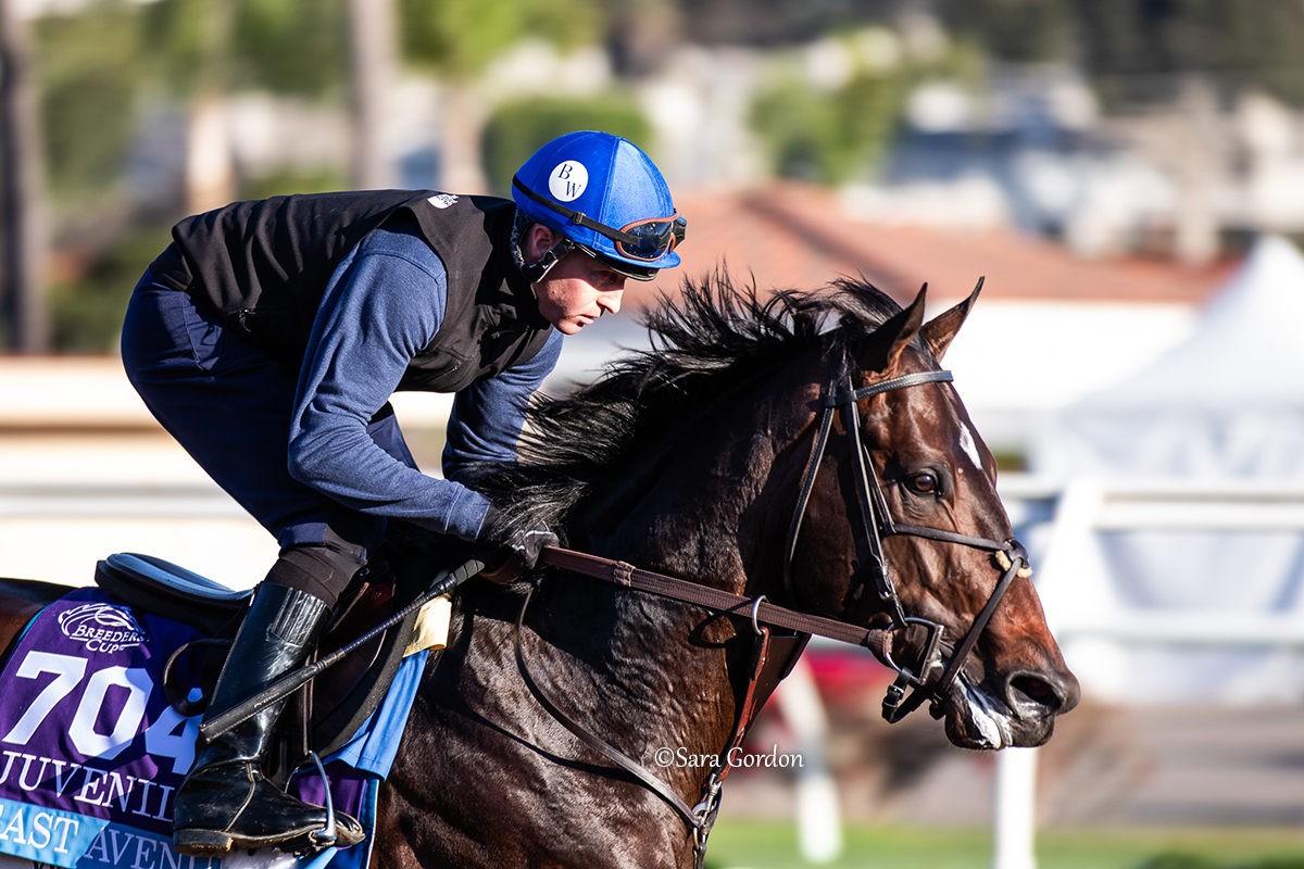 ⭐️ Undefeated <a href="/godolphin/">Godolphin</a> homebred EAST AVENUE (Medaglia d'Oro) returns Friday in a highly competitive renewal of the GI <a href="/BreedersCup/">Breeders' Cup</a> Juvenile Stakes at <a href="/DelMarRacing/">Del Mar Racetrack</a>, part of the 'Future Stars Friday' program. Trained by <a href="/brenpwalsh/">brendan walsh</a>, the colt will be ridden by <a href="/Tyler_Gaff/">Tyler Gaffalione</a>.

Read