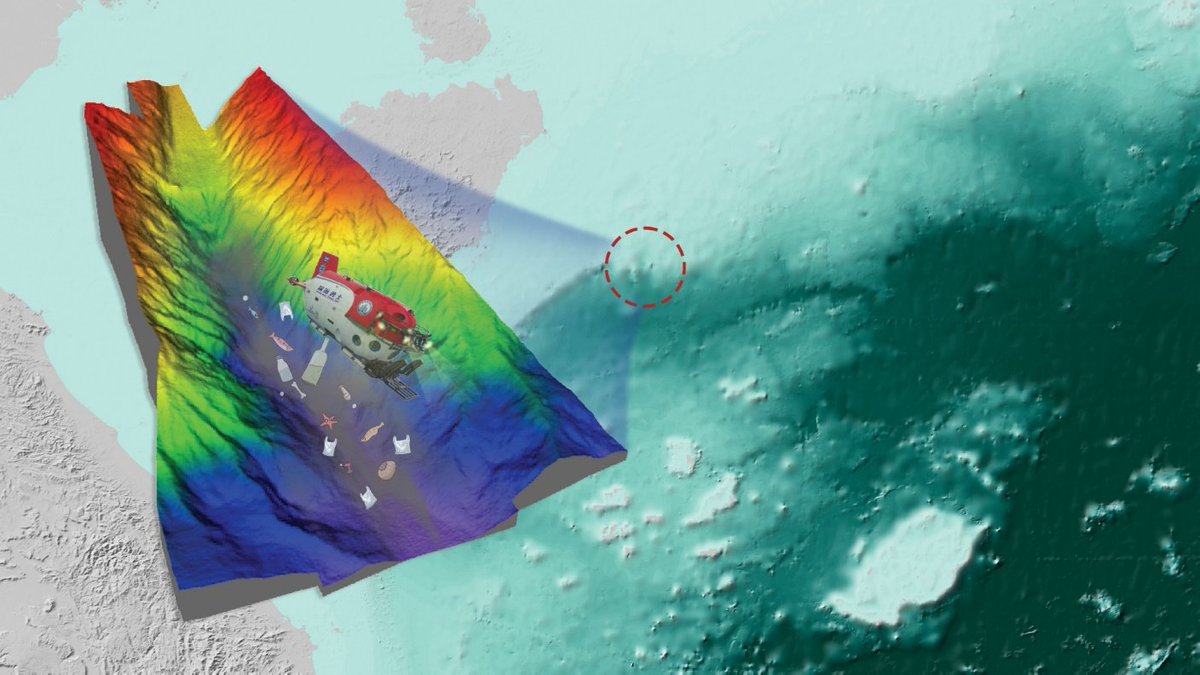 SUSTech 南方科技大学 (@sustechsz) on Twitter photo Findings published in <a href="/theAGU/">AGU (American Geophysical Union)</a> by researchers <a href="/SUSTechSZ/">SUSTech 南方科技大学</a> reveal how #TurbidityCurrents may drive #PlasticLitter accumulation in deep-sea submarine canyons 🌊This breakthrough helps explain plastic transport on the ocean floor #MarinePlastic
Read more: newshub.sustech.edu.cn/en/html/202410… Findings published in <a href="/theAGU/">AGU (American Geophysical Union)</a> by researchers <a href="/SUSTechSZ/">SUSTech 南方科技大学</a> reveal how #TurbidityCurrents may drive #PlasticLitter accumulation in deep-sea submarine canyons 🌊This breakthrough helps explain plastic transport on the ocean floor #MarinePlastic
Read more: newshub.sustech.edu.cn/en/html/202410…