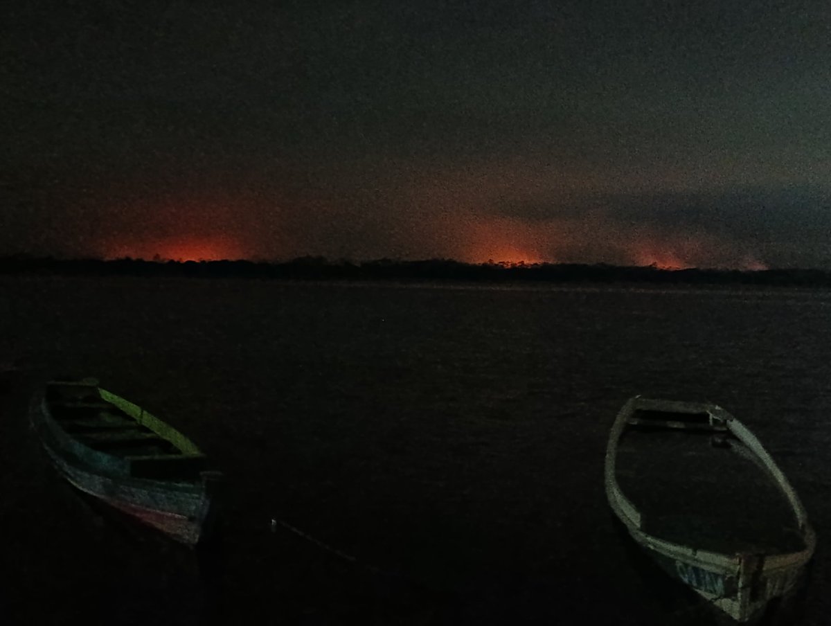 A ilha do Arapuja, no rio Xingu, que deveria estar sob responsabilidade da empresa Norte Energia, administradora da hidrelétrica de Belo Monte, queimando nesta noite de 31 de outubro de 2024, diante dos olhos indiferentes da cidade de Altamira.