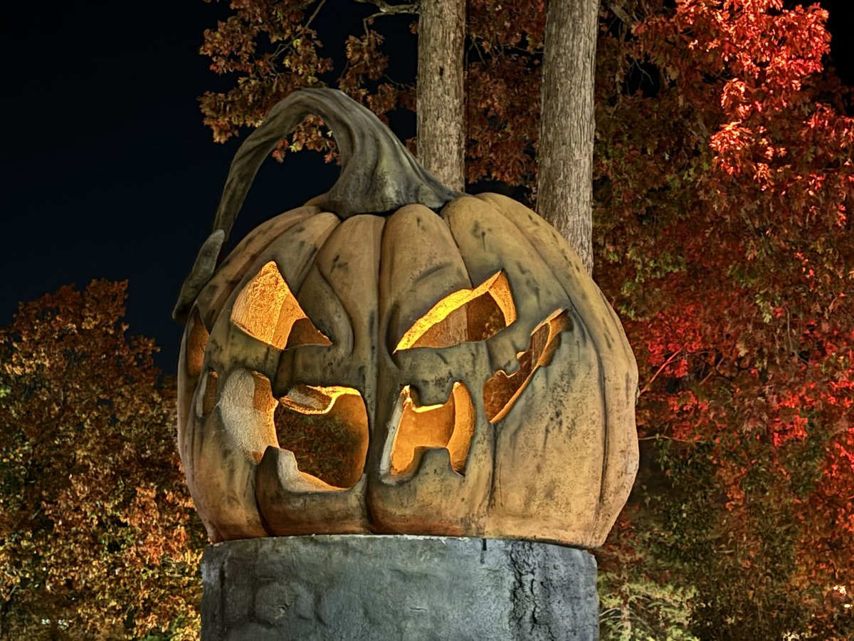 FWOHF's tweet photo. #Halloween https://t.co/NSP69OHwIi