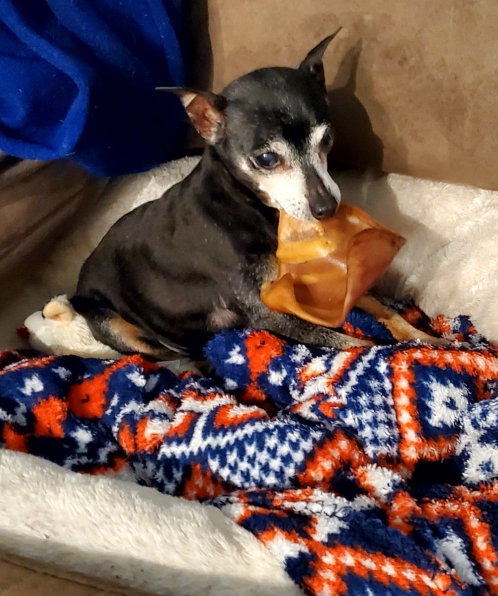 JWeiland tweet media