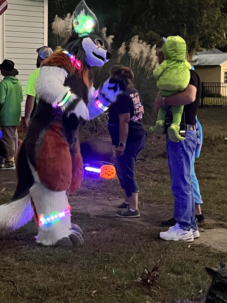 Zenji did great tonight. Tons of kids were out. Unfortunately it was 80° in the dark. Only lasted about two hours.