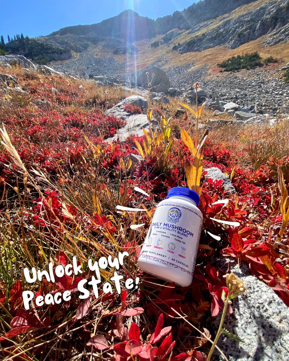 🎃 Happy Halloween! One of my favorite holidays. This year I’ve got a special treat for you without sugar. A 30-day supply of organic mushrooms for your mind &amp; body. 10% OFF today and tomorrow only! Use code TRICKORTREAT at thepeacestate.com

#Health #Wellness #Zerosugar