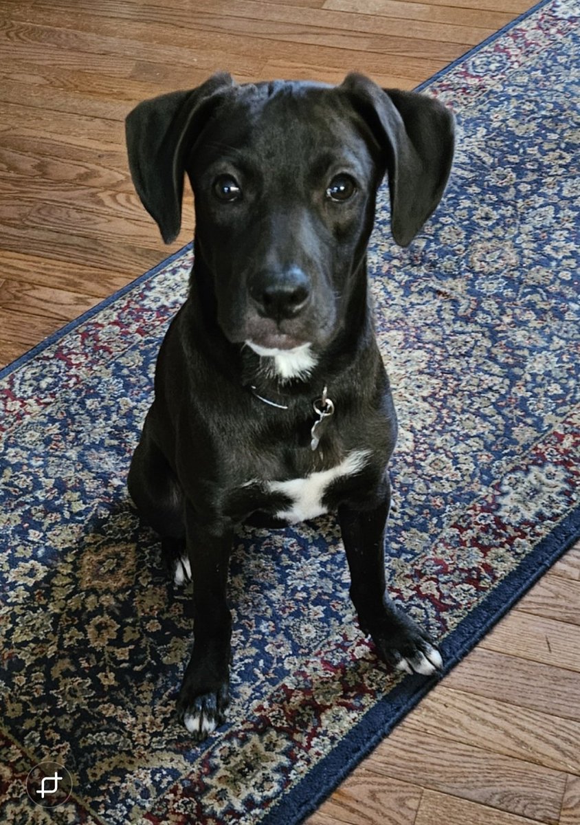 Angel_Syd_The_Kid🌈 tweet media