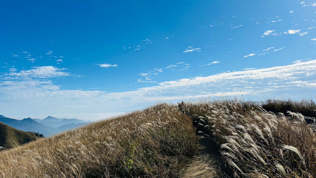 ScottAlsopp2's tweet image. 🍂秋風が始まって、武功山は黄金色のコートに着替えました~
🍂山々がいっぱいになって、林がすっかり染まって、きれいで話にならないです!
🍂落ち葉を踏んでいて、一歩ごとにさわさわという秋音です🎵
🍂携帯を取って、カチカチ、このすばらしい瞬間を止めます📷…