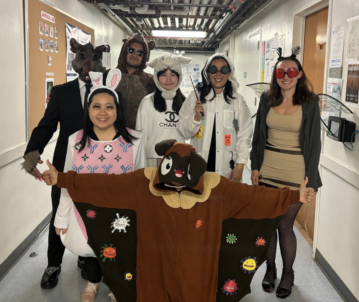 Ana Paula Arruda tweet media