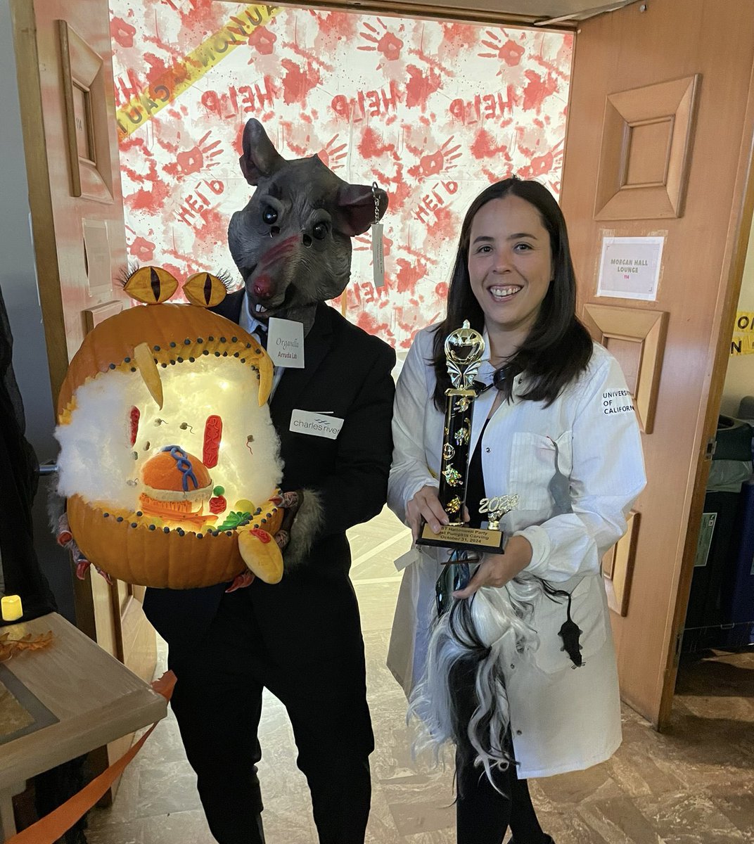 Ana Paula Arruda tweet media